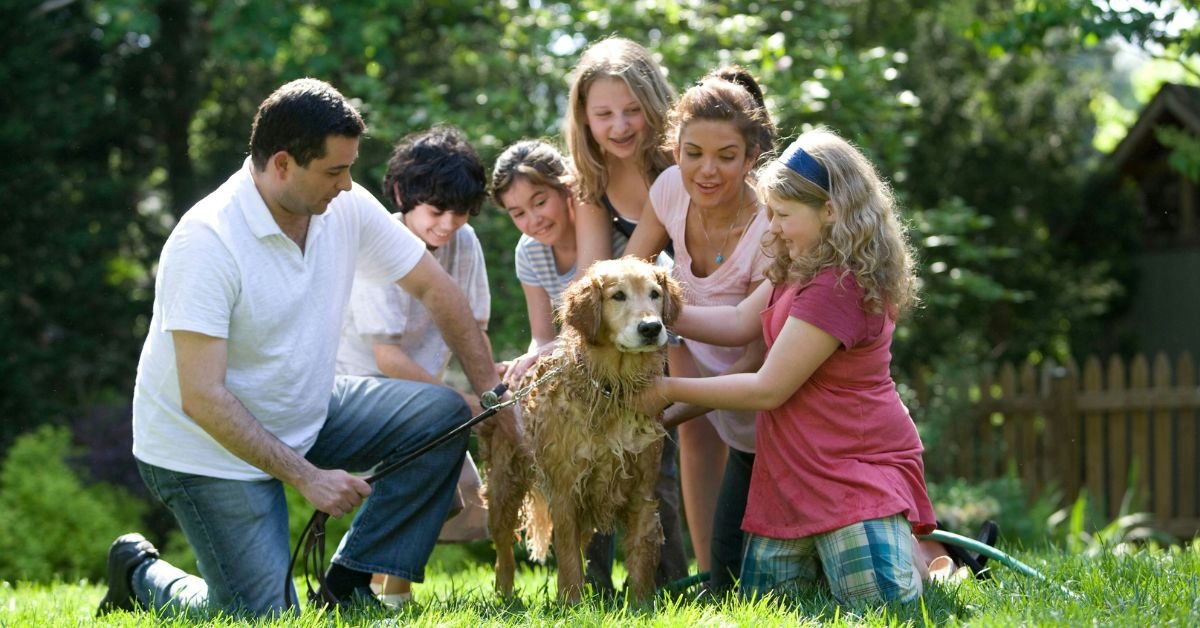 15 Best Family Dog Breeds for Kids