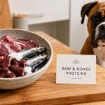 boxer dog food and nutrition