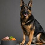 german shepherd food and nutrition