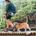 Beagle dog hiking tips