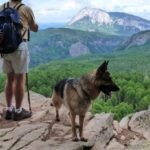 German shepherd hiking tips