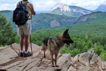 German shepherd hiking tips