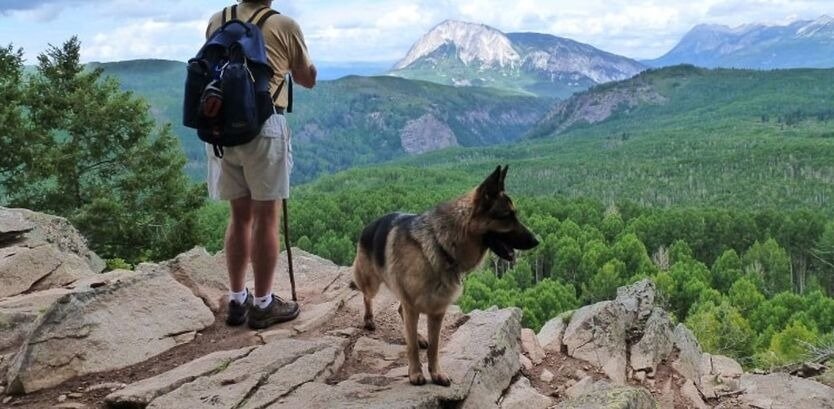 German shepherd hiking tips