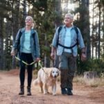 Labrador Retriever hiking tips