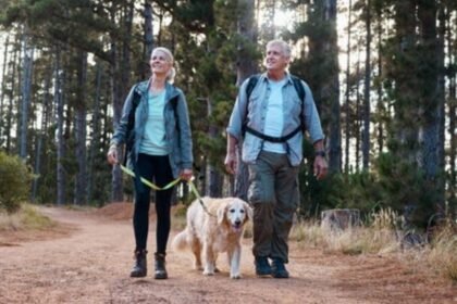 Labrador Retriever hiking tips